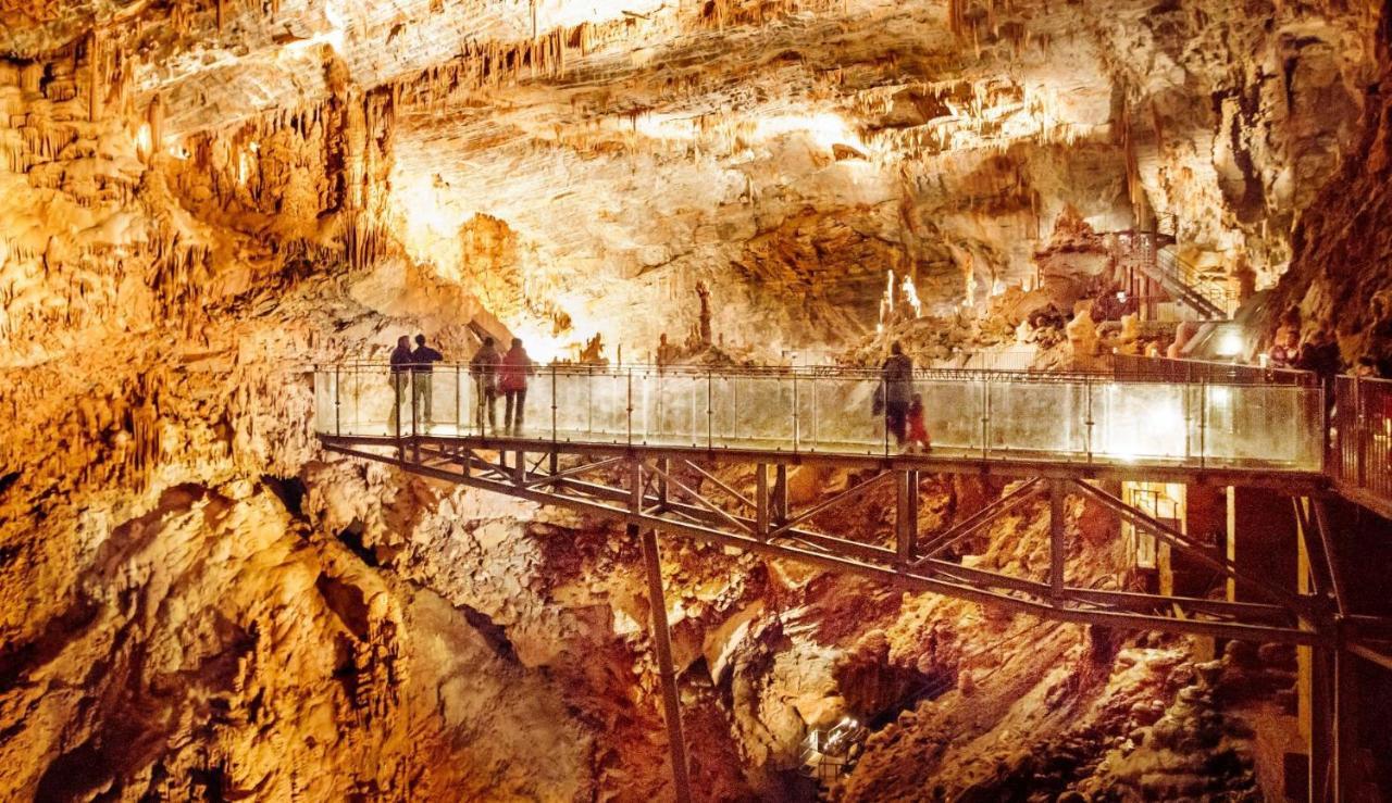 L'Aragonetteヴィラ エクステリア 写真